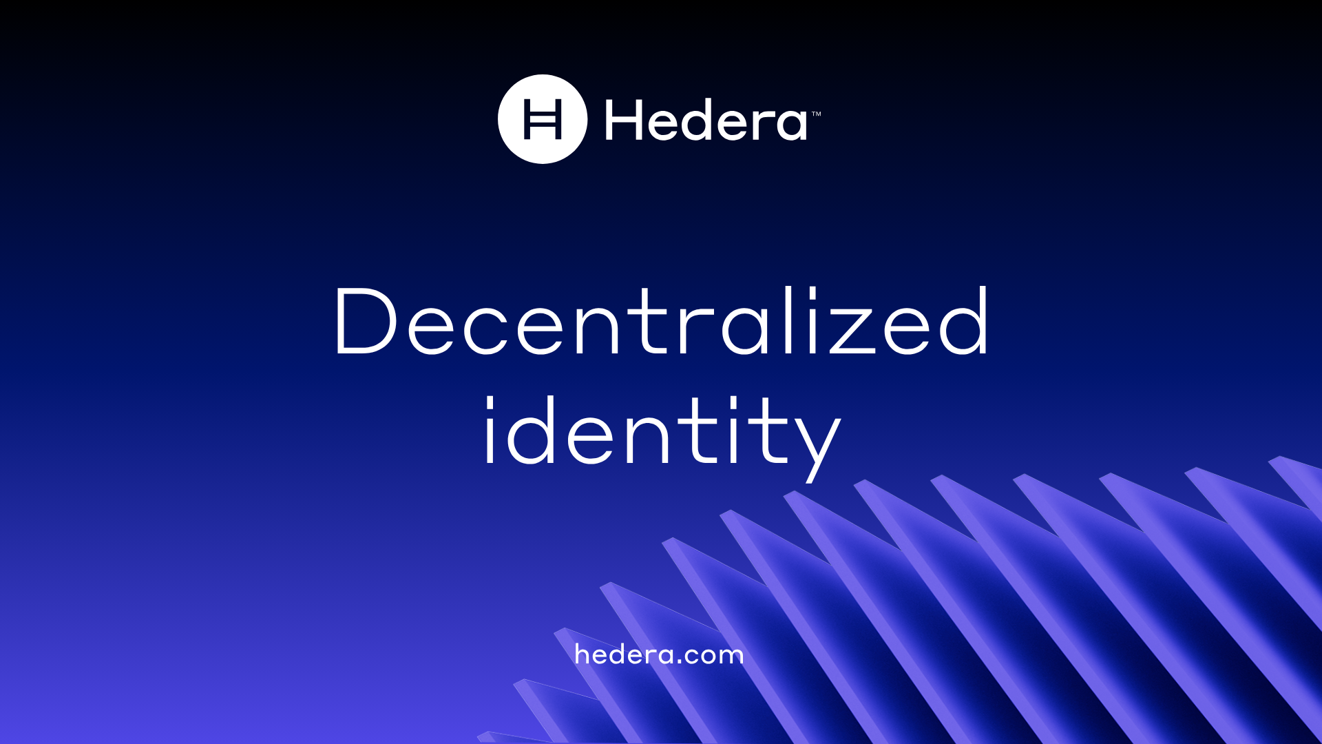 Decentralized Identity & AI Regulation
