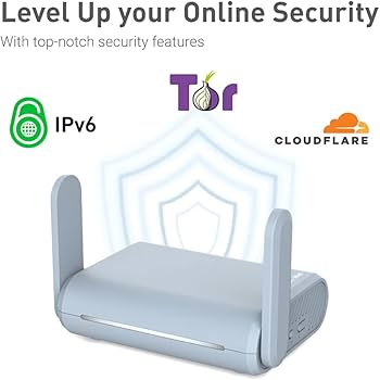 Secure Router for Onion Routing Traffic