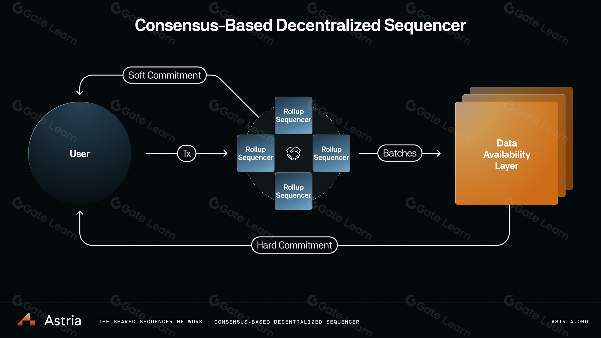 rollup sequencer delay fallback illustration